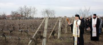 Sfântul Mucenic Trifon a fost cinstit în Arhiepiscopia Dunării de Jos Sfântul Mucenic Trifon a fost cinstit în Arhiepiscopia Dunării de Jos