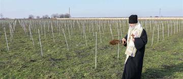 Slujire arhierească la Catedrala arhiepiscopală şi binecuvântarea ţarinilor la Mănăstirea „Sf. Trifon” - Şendreni